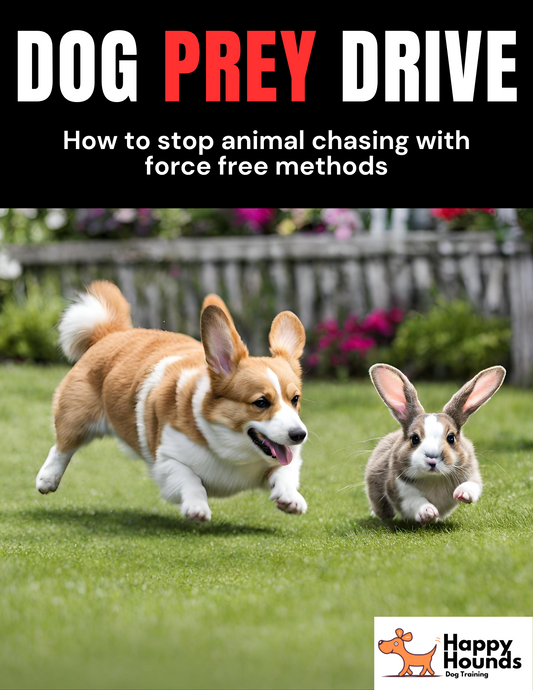 Dog Prey Drive: How to STOP Animal Chasing