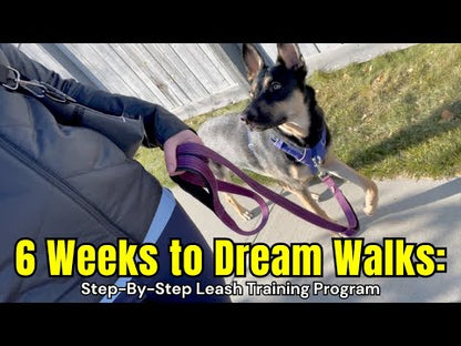 6 Weeks to Dream Walks: Step-By-Step Leash Training Program